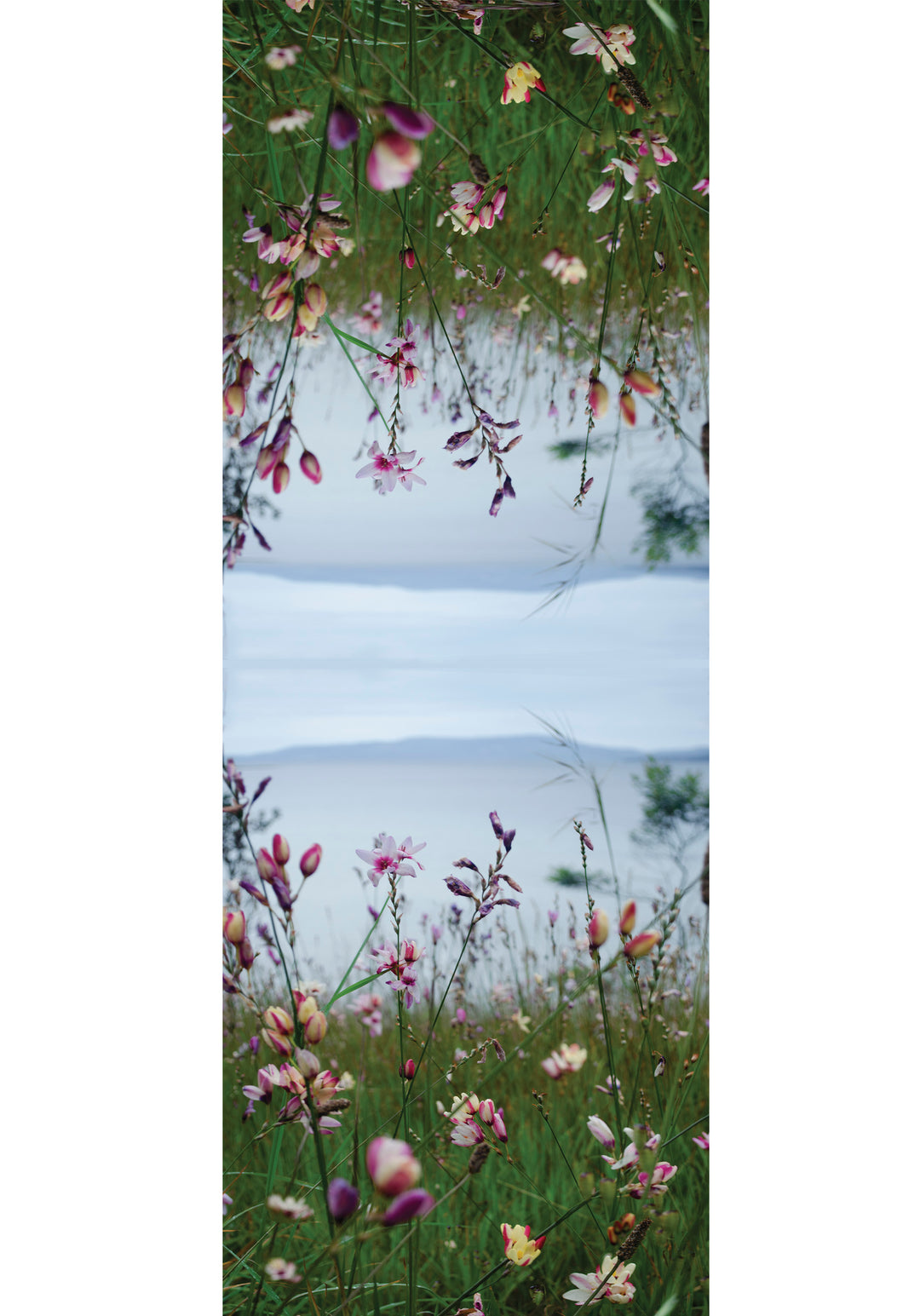 NORFOLK BAY CASHMERE & MODAL SCARF