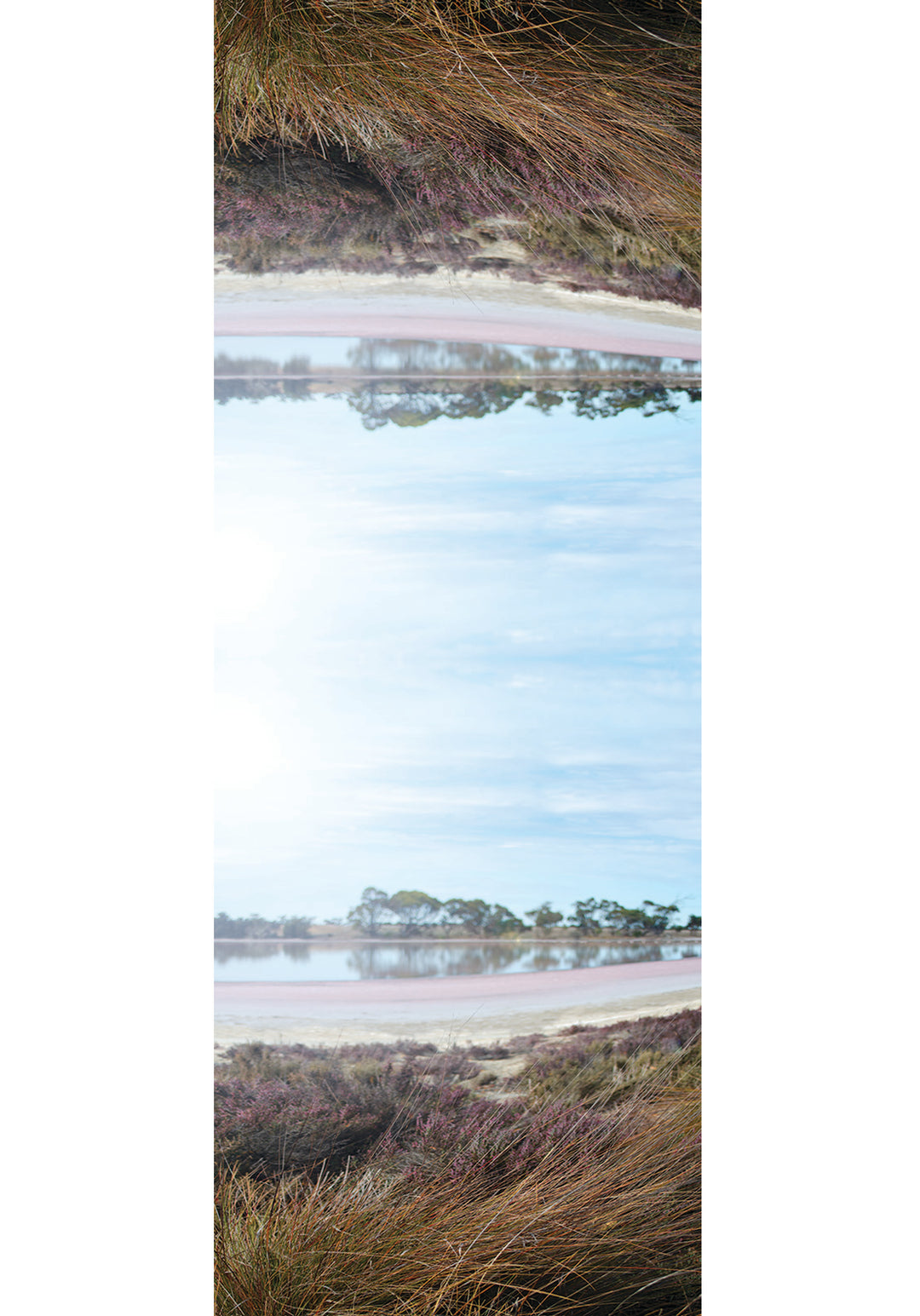 PINK SALT LAKE WOOL & SILK SCARF